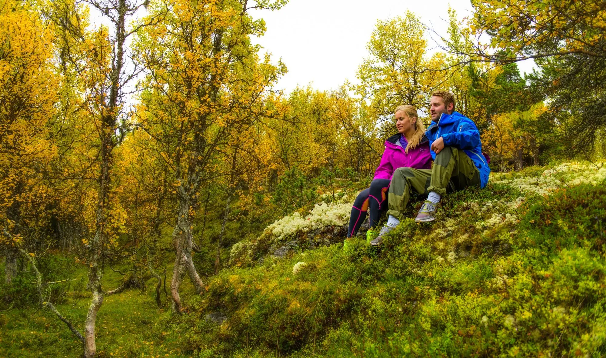 Norsk skog på høsten